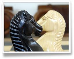 Cliquez pour agrandir l'image Cliquez pour agrandir l'image